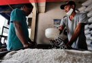 Pemerintah Naikkan Harga Eceran Beras Medium Rp13.500 per Kilo