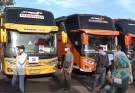 Kemenhub Siapkan 401 Bus Gratis Lebaran 1447 H