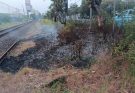 18 Kebakaran di Sekitar Jalur KA, Daop 8 Imbau Warga Tak Bakar Sampah